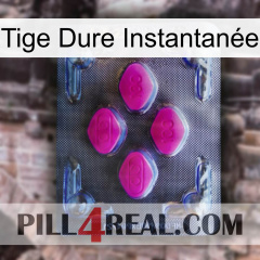 Tige Dure Instantanée 02